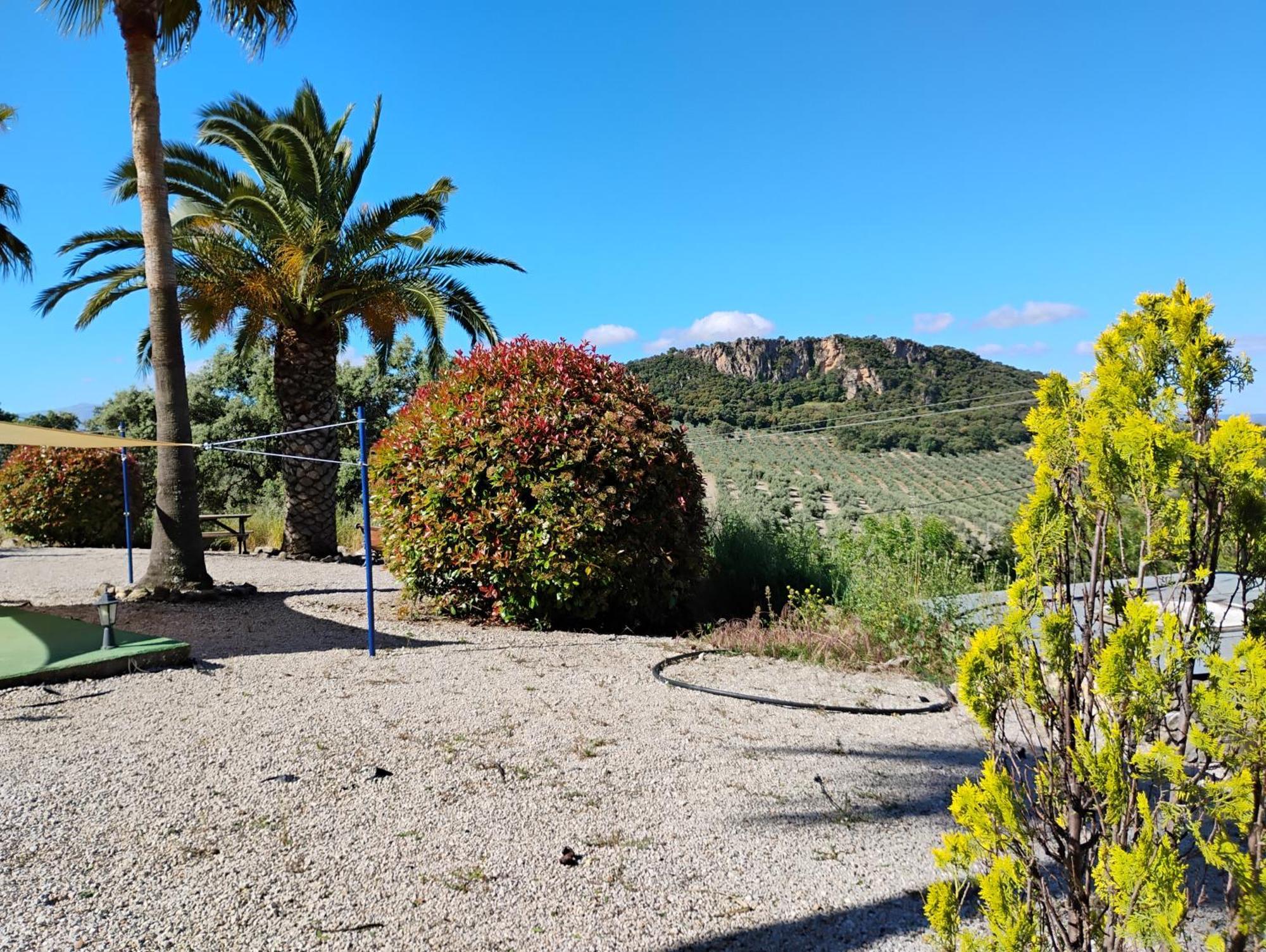 Vila La Casita, Zagra La Carrera de la Viña Exteriér fotografie