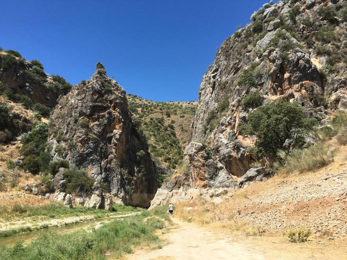 Vila La Casita, Zagra La Carrera de la Viña Exteriér fotografie