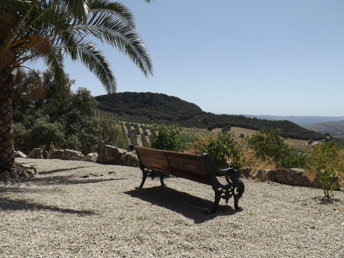 Vila La Casita, Zagra La Carrera de la Viña Exteriér fotografie