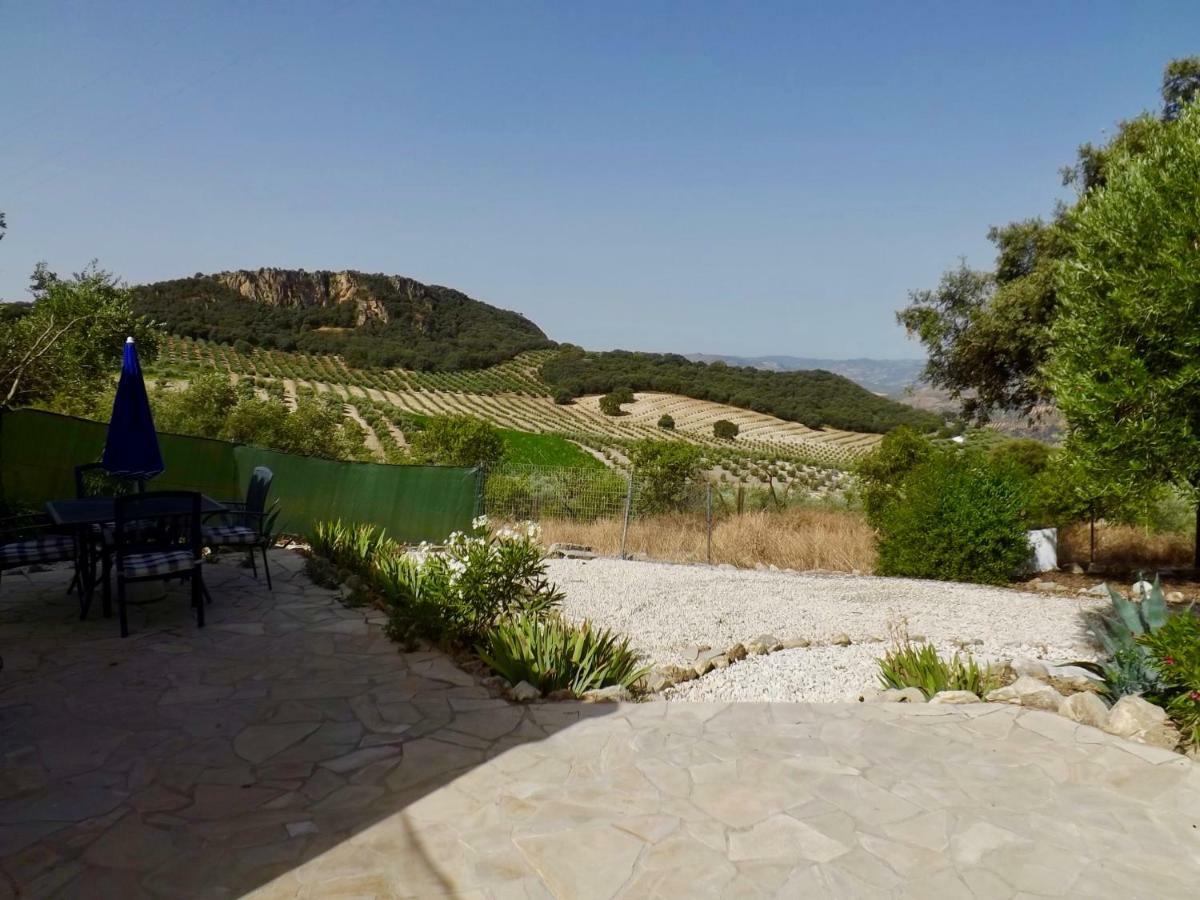 Vila La Casita, Zagra La Carrera de la Viña Exteriér fotografie