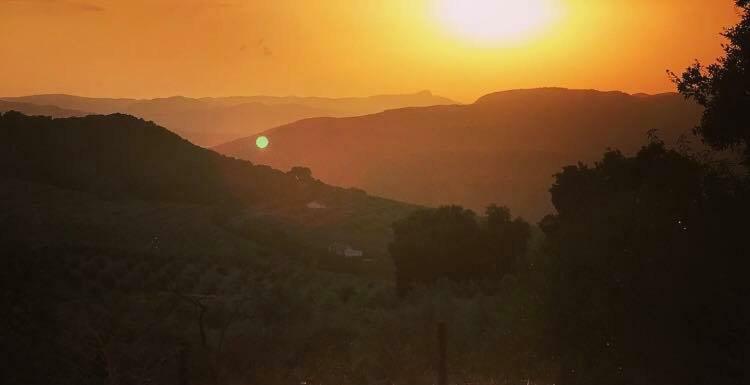 Vila La Casita, Zagra La Carrera de la Viña Exteriér fotografie
